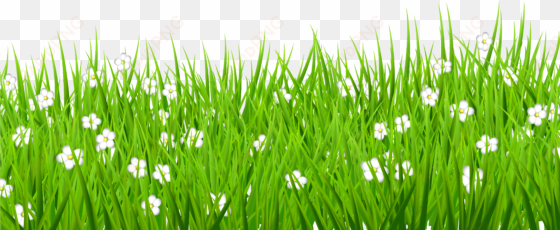 png stock grass background clipart - grass with flowers transparent