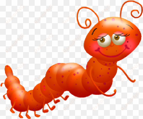 png transparent image source - orange caterpillar clipart