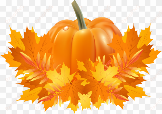 png transparent library apple and pumpkin page border - clipart pumpkin fall leaves