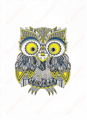 png transparent library drawing owl colourful - colourful zentangle owl large cotton tea towel by half