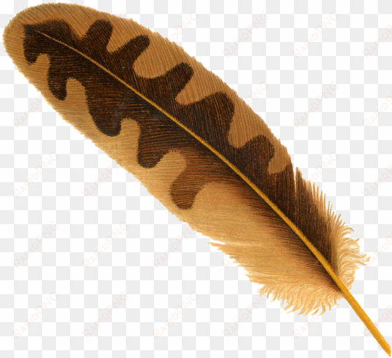 pngpix com feather png transparent image 1 - feather png