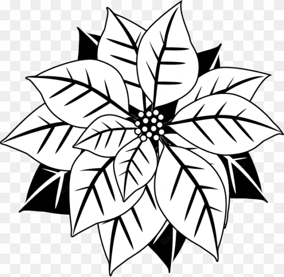poinsettia clipart - pascua de navidad blanco y negro