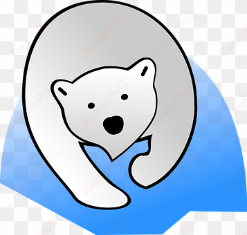 polar bear bear polar nature wildlife anim - polar bear