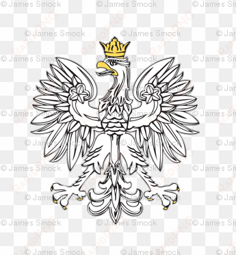 polish eagle with gold crown - poland coat of arms vector