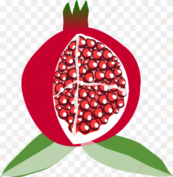 pomegranate clipart frut - pomegranate fruit clipart