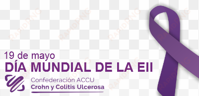 pon un lazo morado en tu perfil como gesto de solidaridad - dia mundial de la eii