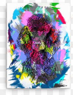 poodle artistic photo art canvas - art