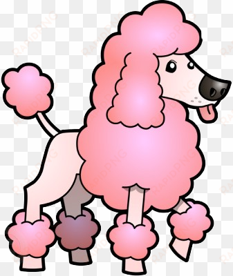 poodle - poodle clipart transparent