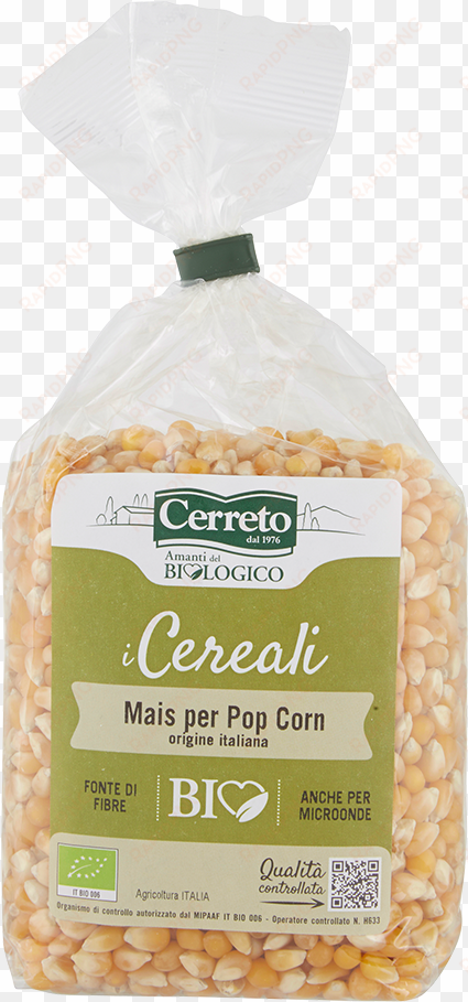 Pop Corn Kernels - Cerreto Bio transparent png image