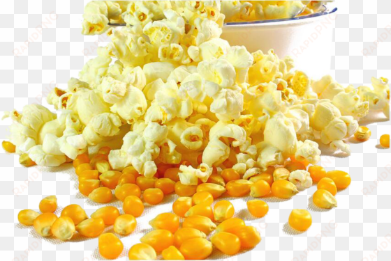 popcorn kettle corn grits maize corn kernel - milho de pipoca