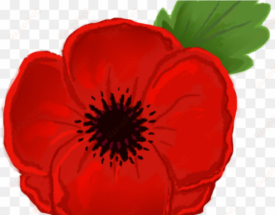 poppy clipart animated - clip art remembrance day poppy