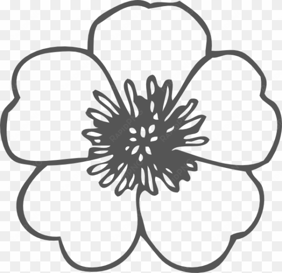 Poppy Clipart Black And White Poppy Black And White - Flower Clip Art Black And White transparent png image