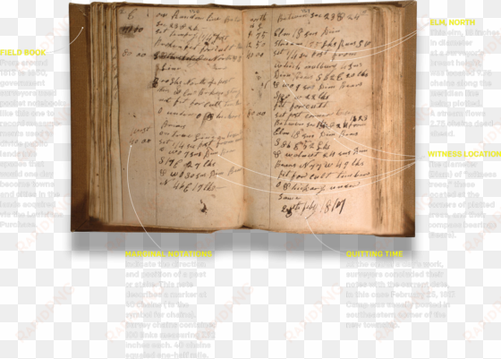 post a comment - 19th century field book