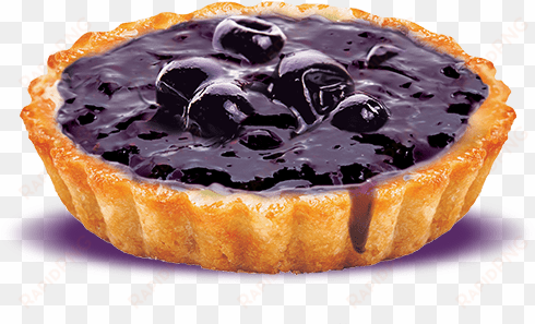 post navigation - blueberry pie png