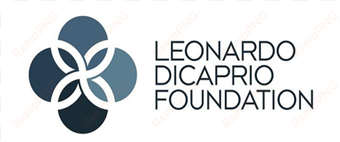 post navigation - leonardo dicaprio foundation