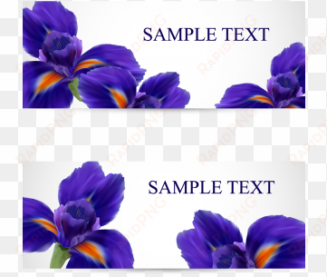 Postcards With Realistic Iris Flowers, Iris, Flower, - Flower transparent png image