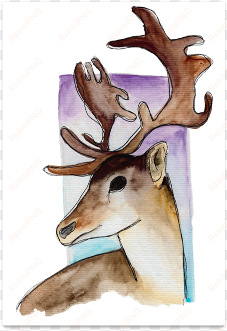 poster dear deer de barbara câmarana - reindeer