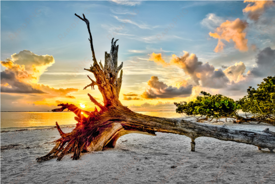 POSTER: GOODMAN'S SANIBEL SUNRISE, 61X41IN..PNG Poster: Goodman's Sanibel Sunrise, 61x41in. transparent png image