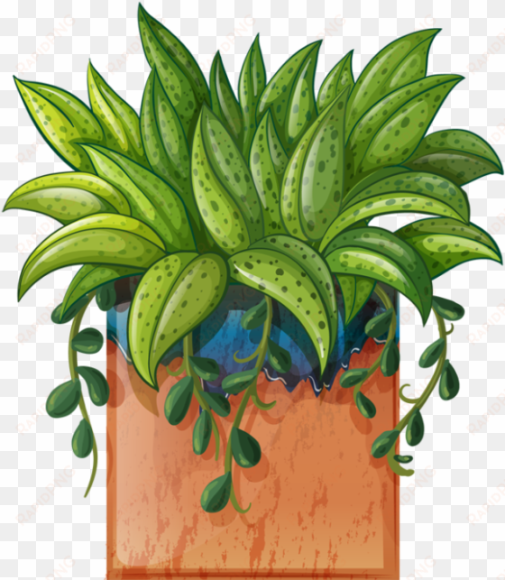 Pot Plant Clipart Beautiful Flower Pencil And In Color - Transparent Potted Plants Clipart Hd transparent png image