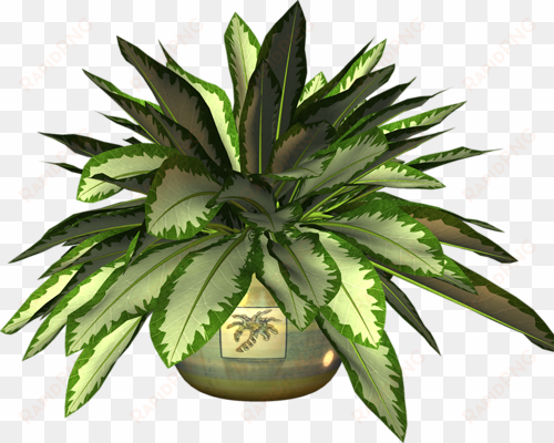 pot plant clipart botany - clip art