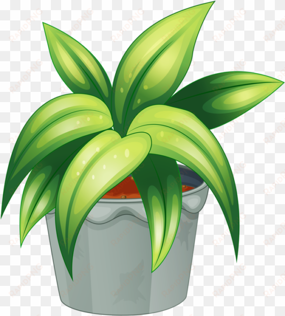 pot plant clipart botany - flowering plant and non flowering plant