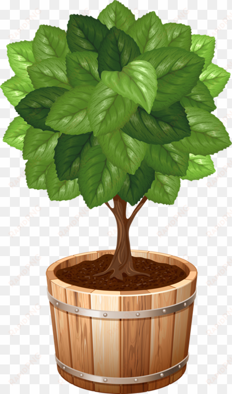 pot plant clipart file - potted tree clip art