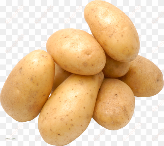 potato png images - potato png