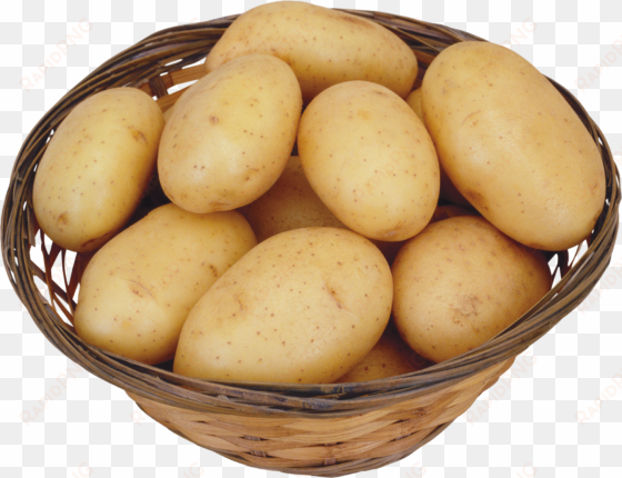 potatoes clipart