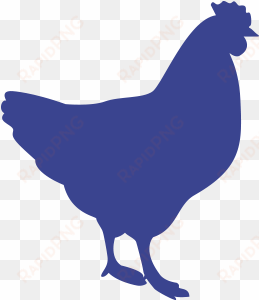 Poultry transparent png image