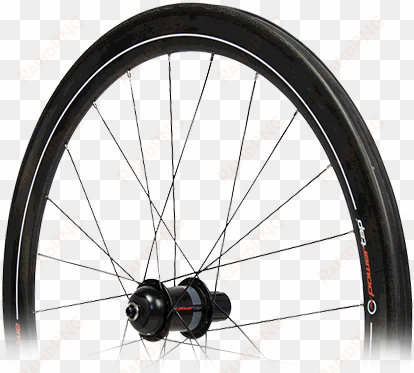 powertap hubs & wheelsets - powertap wheel