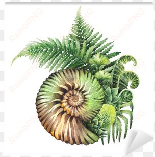 prehistoric watercolor seashell and fern branches wall - fern graphic