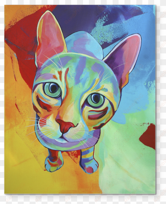 premium cat art collection - trademark art 'ace cat' print on wrapped canvas
