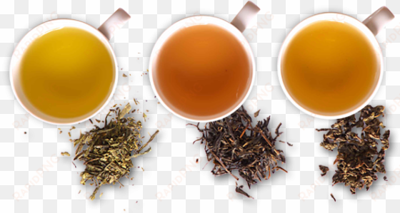 premium quality tea - tea fermentation