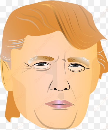 presidency of donald trump - donald trump vector png