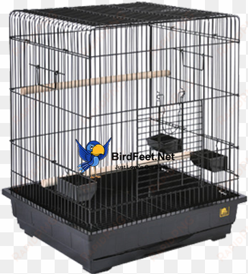 prevue hendryx, collapsible cage - birds cages