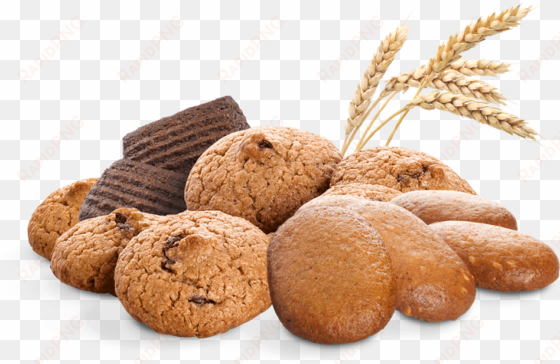 principles of agriculture, food, and natural resources