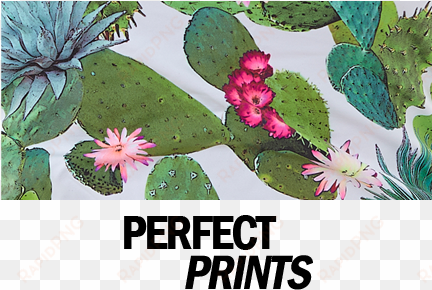 printed bikinis and swimsuits - freya bikini cactus