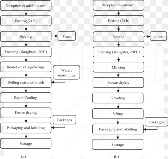 processing flowchart of cricket/grasshopper dry snacks - cricket