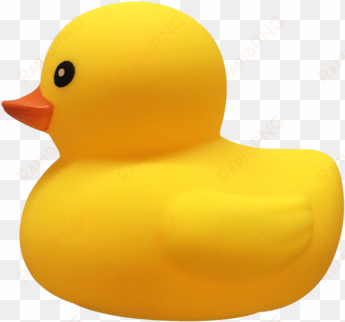 promotional logo rubber duck - rubber duck