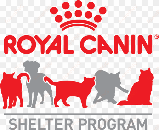 proudly supported by - royal canin