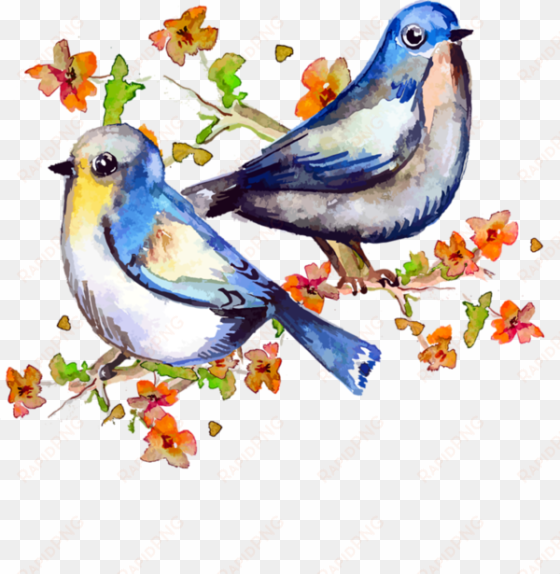 publicat de eu ciresica la - spring birds watercolor