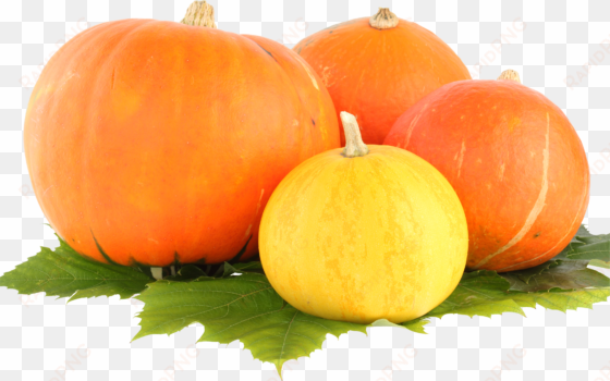 pumpkin png image - pumpkin png