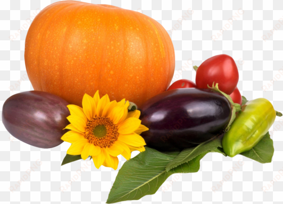 pumpkin tomato pepper eggplant png image - Перец Баклажаны Помидоры png