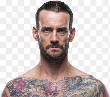 punk cm - cm punk ufc