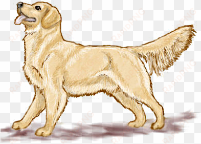 puppy clipart realistic - golden retriever clipart free