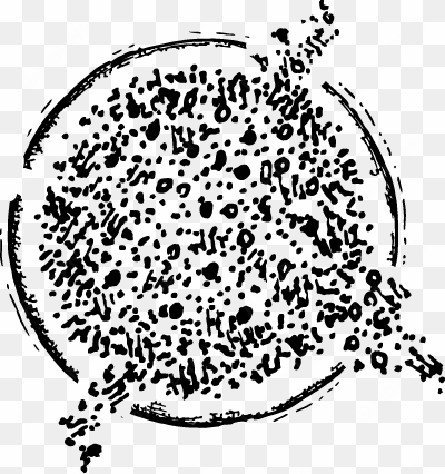 pure chlorella organic cracked cell wall pyrenoidosa