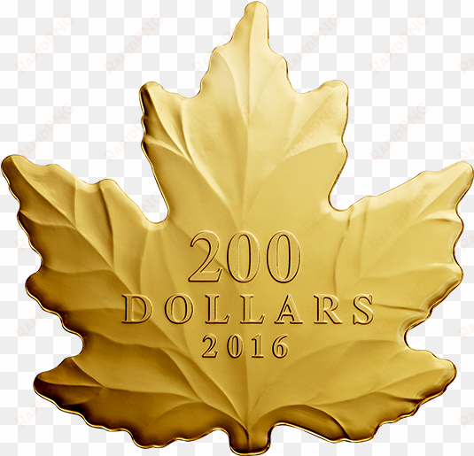 pure gold coin maple leaf silhouette mintage - 200 dollar gold maple leaf