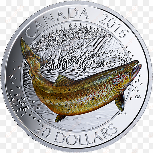 pure silver coloured coin big fish series - salmon coin