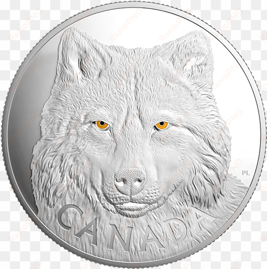 pure silver one-kilogram coin in the eyes of the timber - canada wolf coin