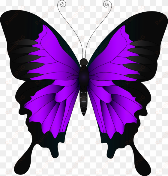 purple butterfly png - pink and purple butterfly